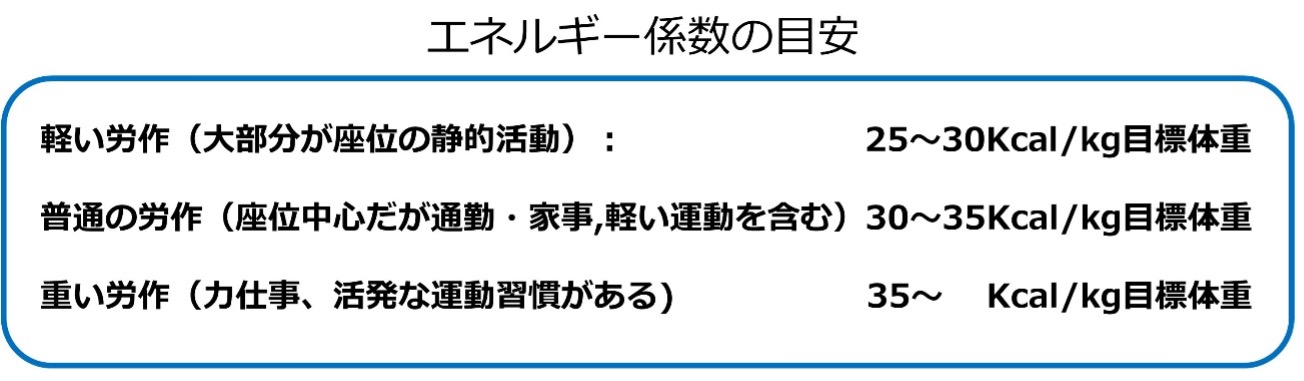 ⑥食事療法